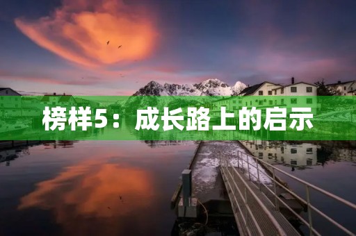 榜样5:成长路上的启示 榜样5:成长路上的启示