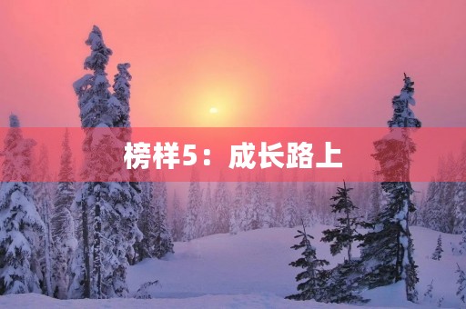 榜样5：成长路上，我们都需要一个榜样