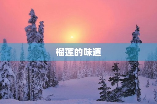 榴莲的味道