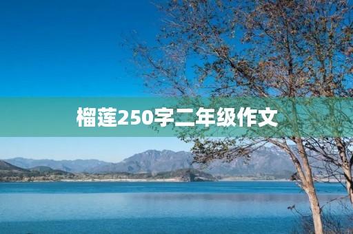 榴莲250字二年级作文