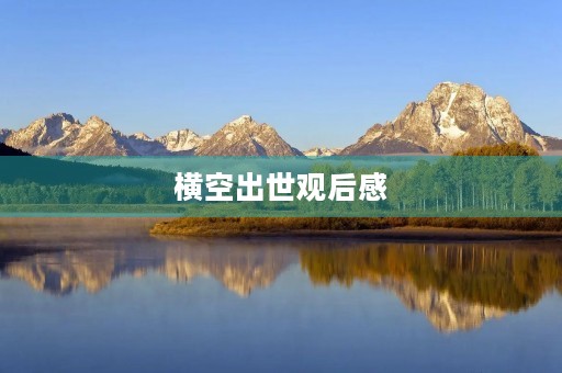 横空出世观后感