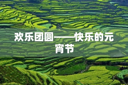 欢乐团圆——快乐的元宵节 欢乐团圆——快乐的元宵节