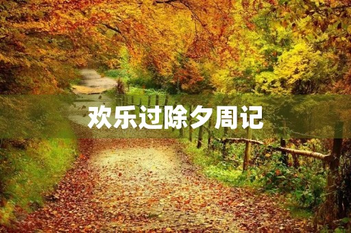 欢乐过除夕周记 欢乐过除夕周记