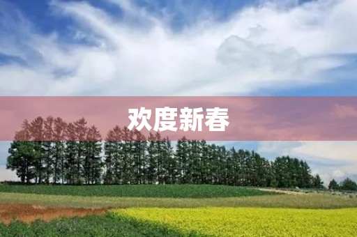 欢度新春,共享团圆 欢度新春,共享团圆