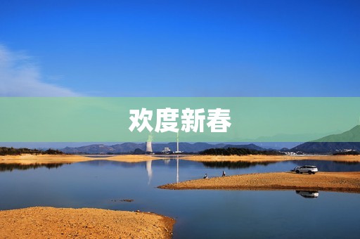 欢度新春