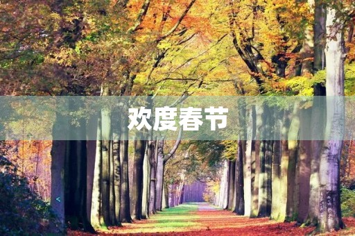 欢度春节,快乐过新年 欢度春节,快乐过新年