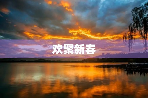欢聚新春,共度佳节——我的新年联欢会 欢聚新春,共度佳节——我的新年联欢会