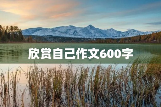 欣赏自己作文600字 欣赏自己作文600字