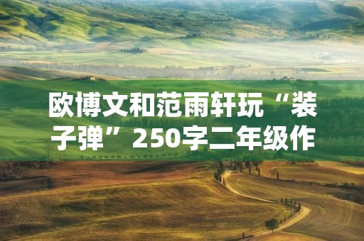欧博文和范雨轩玩“装子弹”250字二年级作文