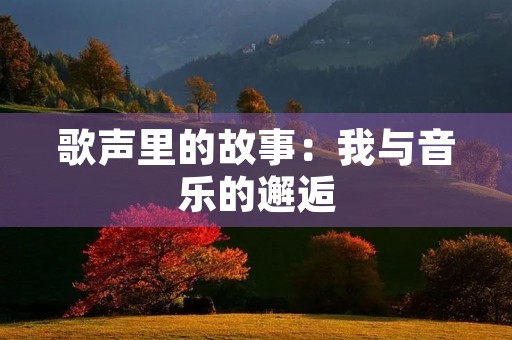 歌声里的故事：我与音乐的邂逅