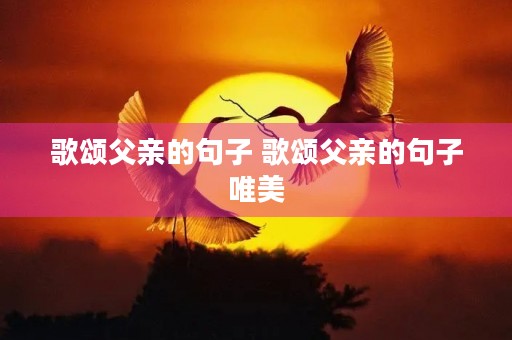 歌颂父亲的句子 歌颂父亲的句子唯美