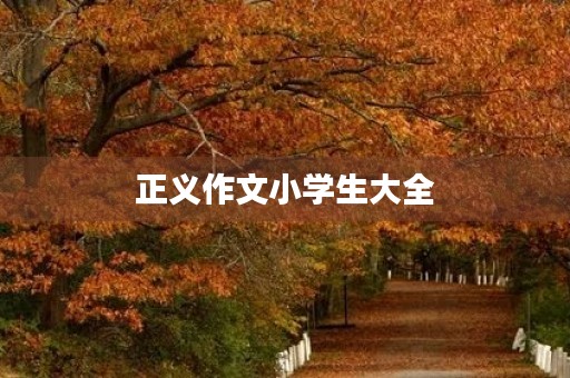 正义作文小学生大全 正义作文小学生大全