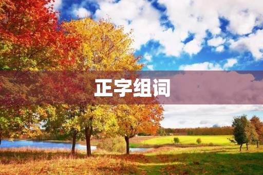 正字组词(正组词) 正字组词(正组词)