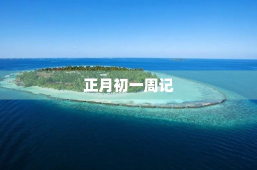 正月初一周记 正月初一周记