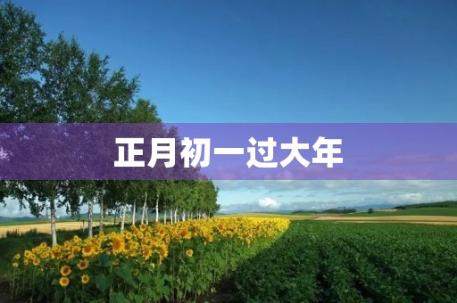 正月初一过大年 正月初一过大年