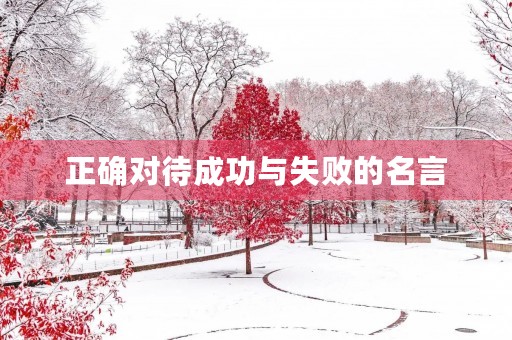 正确对待成功与失败的名言(正确对待成功与失败的名言名句)
