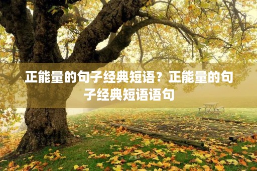 正能量的句子经典短语？正能量的句子经典短语语句