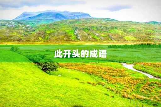 此开头的成语
