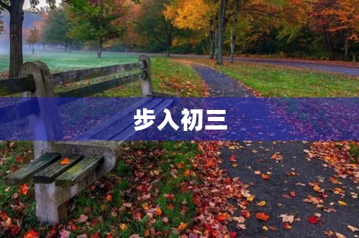 步入初三，我的成长之路