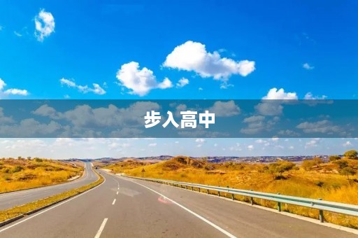 步入高中，我该如何写好作文？