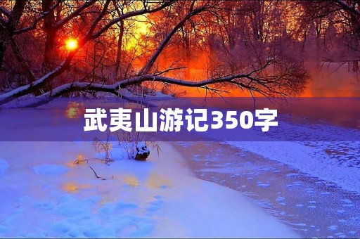 武夷山游记350字