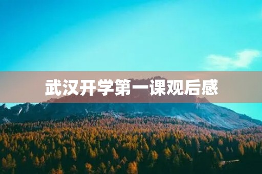 武汉开学第一课观后感 武汉开学第一课观后感