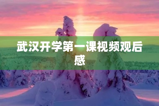 武汉开学第一课视频观后感 武汉开学第一课视频观后感