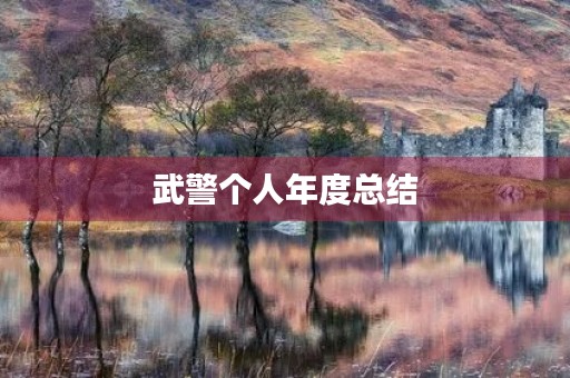 武警个人年度总结