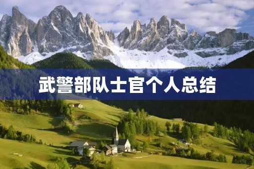 武警部队士官个人总结