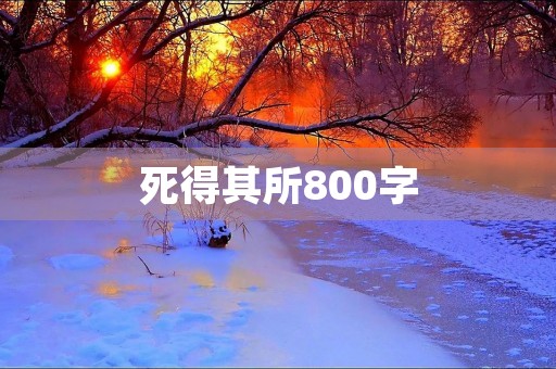 死得其所800字