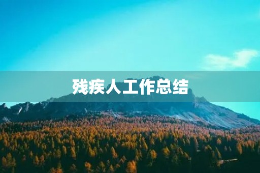 残疾人工作总结