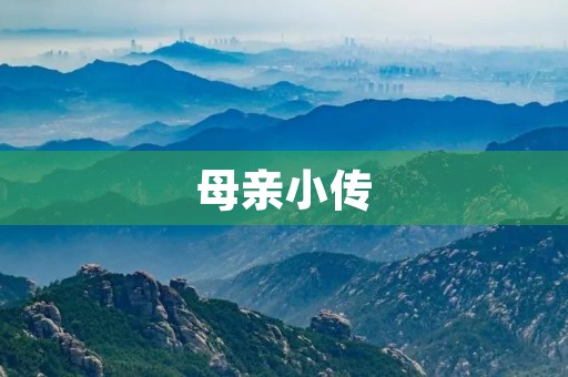 母亲小传 母亲小传