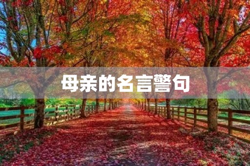 母亲的名言警句(关于赞美母亲的名言警句) 母亲的名言警句(关于赞美母亲的名言警句)