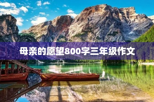 母亲的愿望800字三年级作文