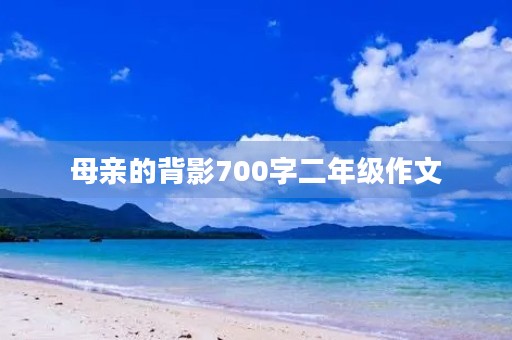 母亲的背影700字二年级作文