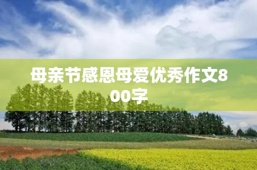 母亲节感恩母爱优秀作文800字