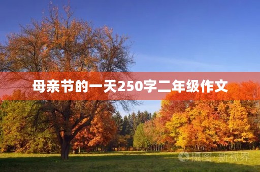 母亲节的一天250字二年级作文