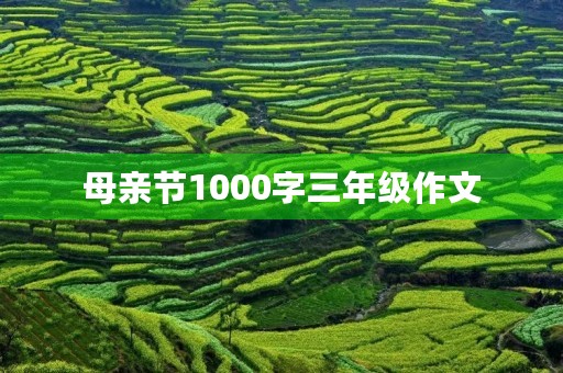 母亲节1000字三年级作文