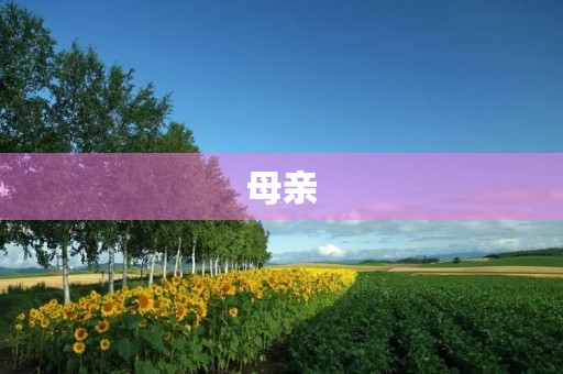 母亲,我最爱的人 母亲,我最爱的人