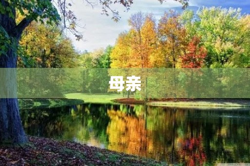 母亲,我爱您! 母亲,我爱您!
