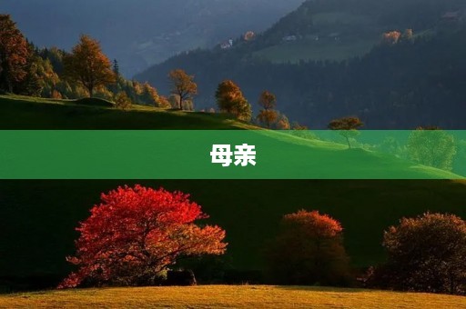 母亲,最美的风景 母亲,最美的风景