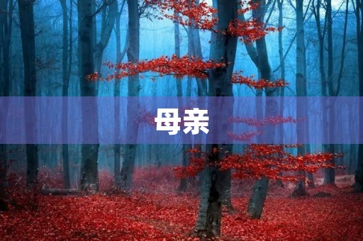 母亲,永远的爱——写在母亲节前夕 母亲,永远的爱——写在母亲节前夕