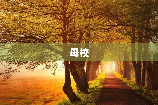 母校，再见了