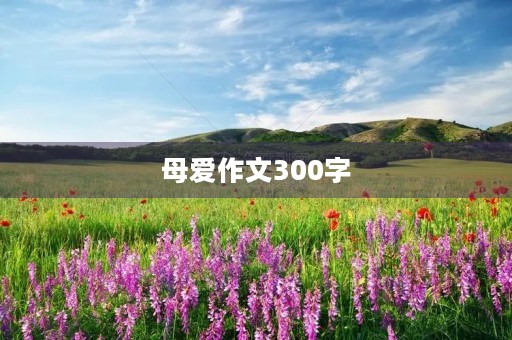 母爱作文300字