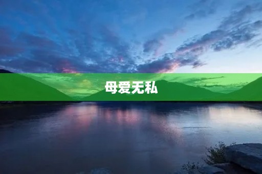 母爱无私，温暖人心的作文400字