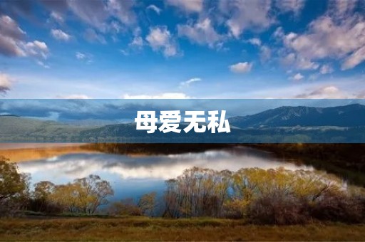 母爱无私，温暖至深