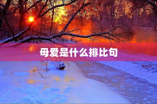 母爱是什么排比句(母爱是什么排比句仿写)