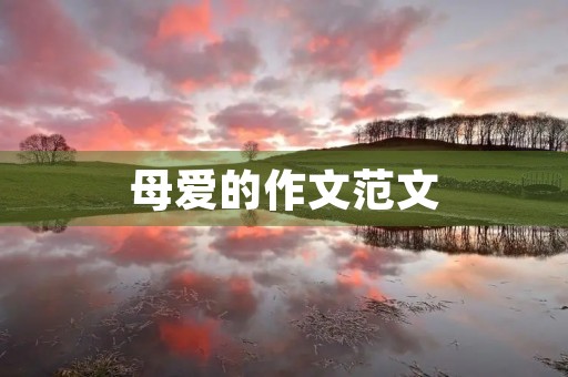 母爱的作文范文 母爱的作文范文