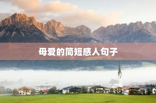母爱的简短感人句子，母爱的简短感人句子15字