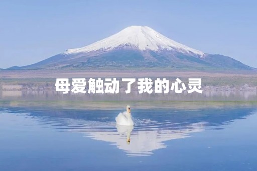 母爱触动了我的心灵